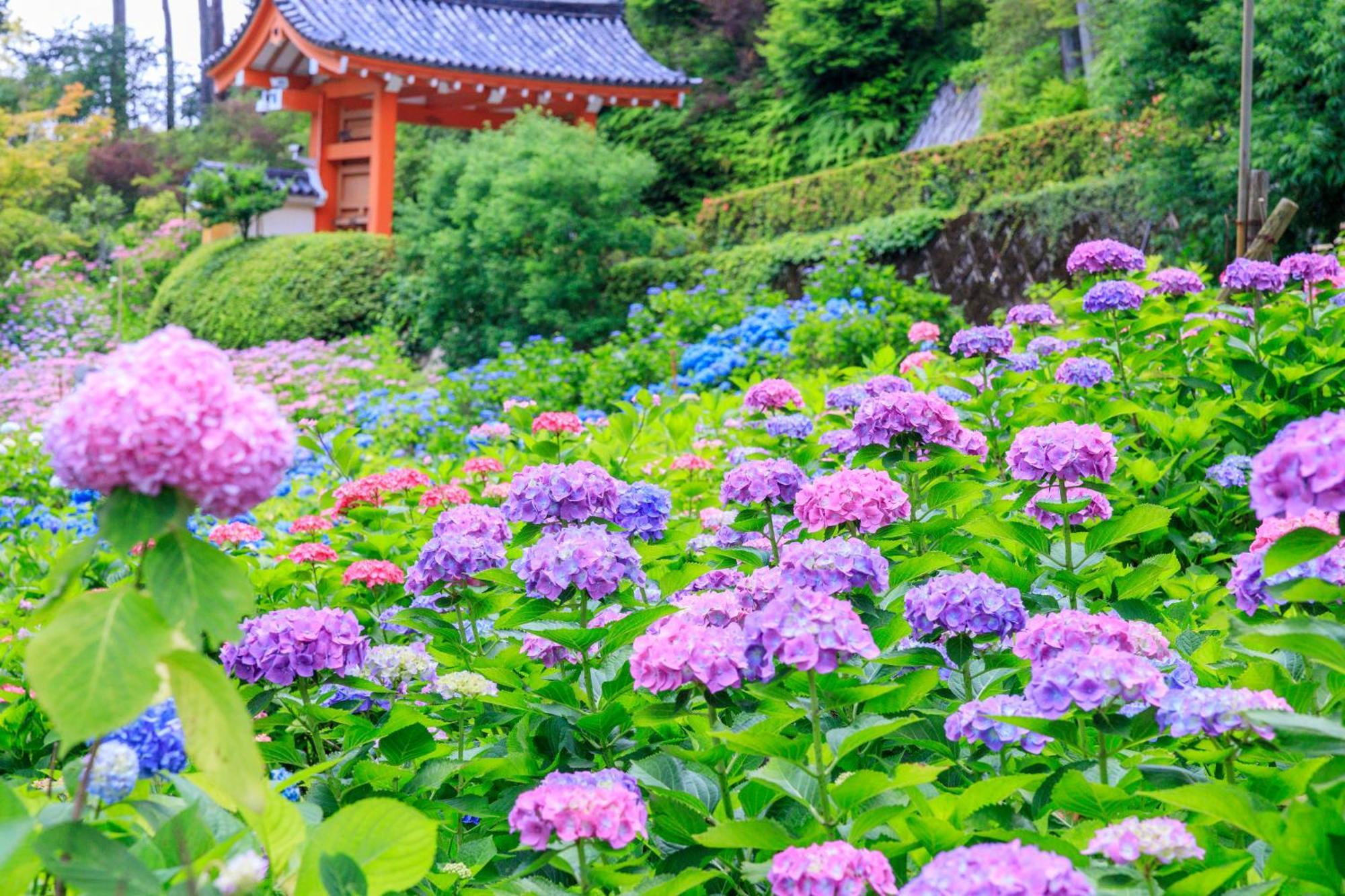 Mimaru Suites Kyoto Shijo Екстериор снимка